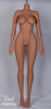 YL Doll YL-170 body style - TPE