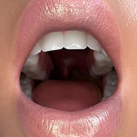 Zelex - Mouth cavity of updated Inspirational Series heads (as of 09/2022)