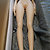 Doll House 168 EVO-170 body style with Cat head - customer photo