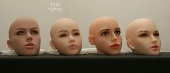 Head comparison: Maid-Fong - DS Sandy - Jennifer - WM No. 31