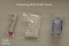 Unboxing WM Dolls Torso - Dollstudio