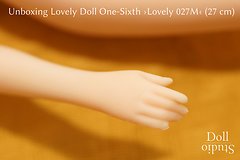 Unboxing Lovely Doll ›Lovely One-Sixth 027M‹ (29 cm) - Dollstudio