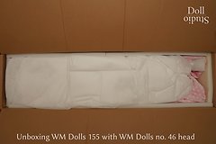 Unboxing WM Dolls 155 mit Kopf Nr. 46 - Dollstudio