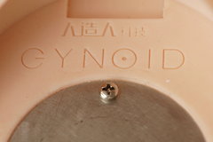 Unboxing Gynoid GT-165/86 with ›Jì Xiāng‹ head (纪香) aka Model 7 - Dollstudio (06