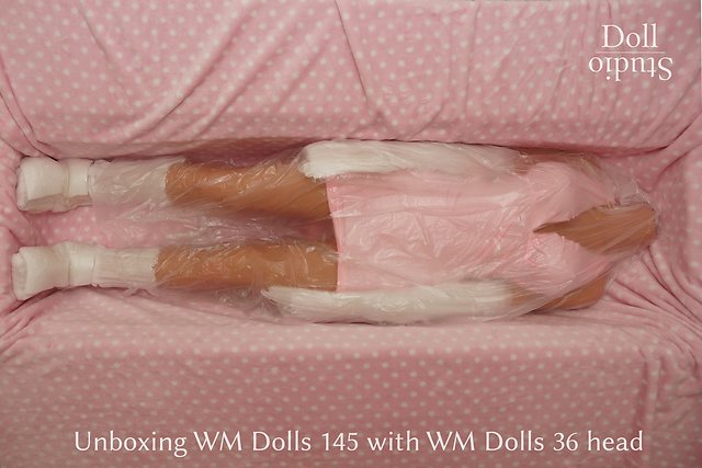 Unboxing WM Dolls 145 mit Kopf Nr. 36 - Dollstudio