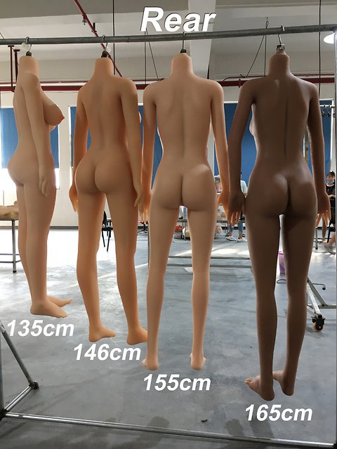 Doll Forever body styles D4E-165, D4E-155, D4E-146 and D4E-135 (as of 07/2017)