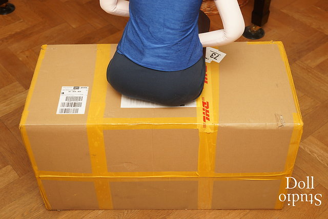 HA-160/R ›Miyu‹ is sitting on the EX-lite's carton
