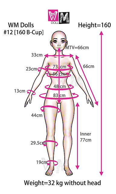 WM Dolls WM-160/B body style - body measurements
