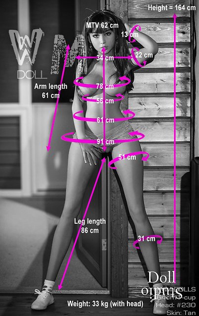 WM Dolls WM-164/F body style - measurements (as of 01/2021)