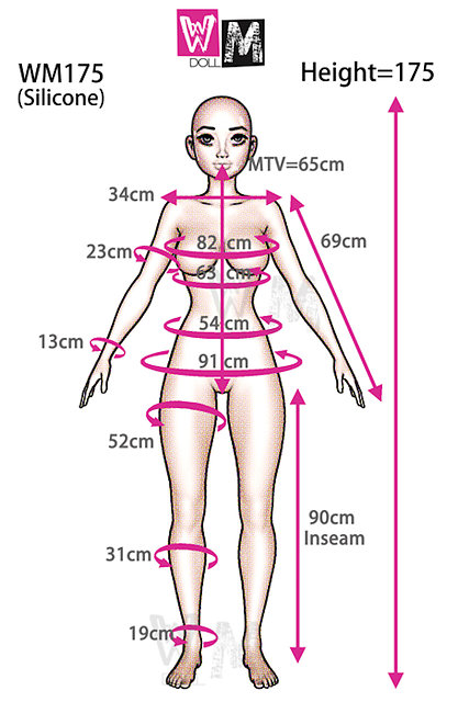 WM Dolls WMS-175/D - body measurements