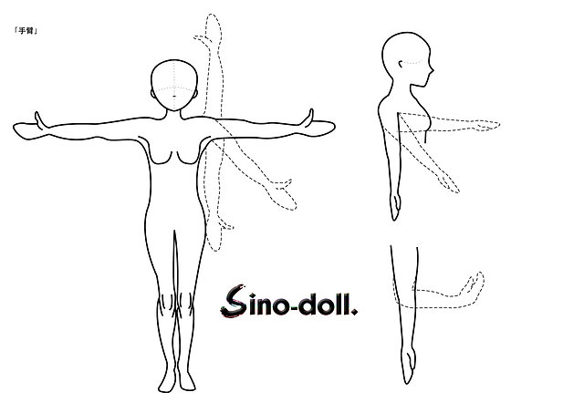 Sino-doll range of movements