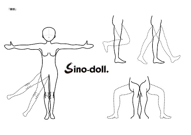 Sino-doll range of movements