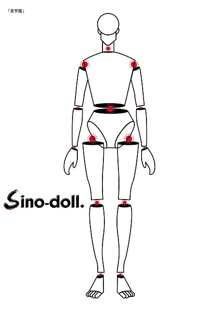 Sino-doll range of movements