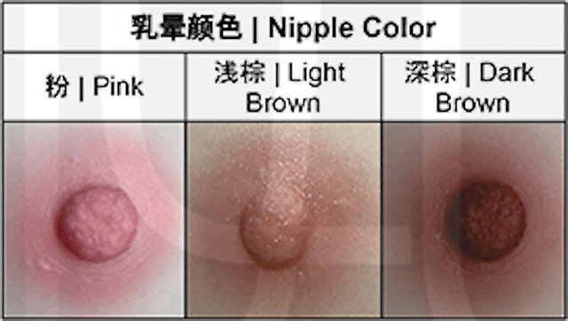 Tayu - Nipple Colors (as of 06/2021)